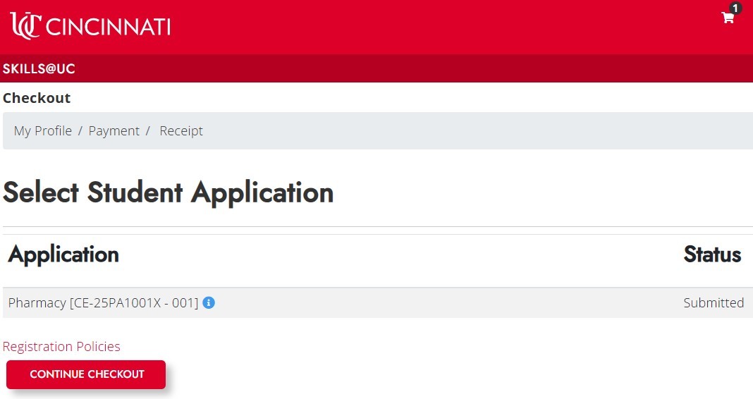 screenshot of checkout